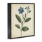 Stupell Industries Vintage Blue Blossoms Wildflower Framed Giclee, design by Petal Prints Design